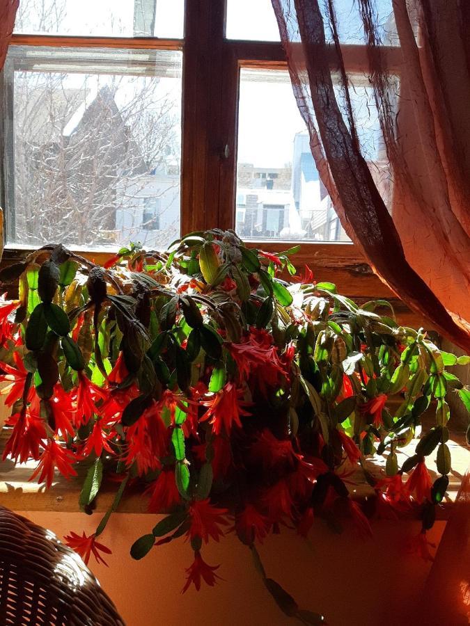 Double Room Garden View