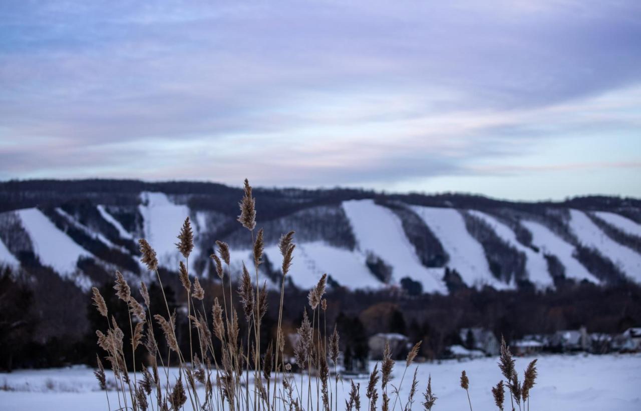 Queen Suite,1059930685:JPEG