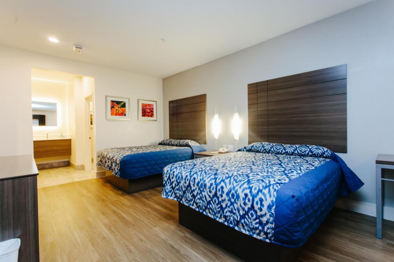 Habitación Doble Superior con 2 camas grandes