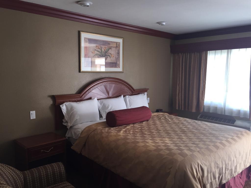 Standard Queen Room,113372240:JPEG