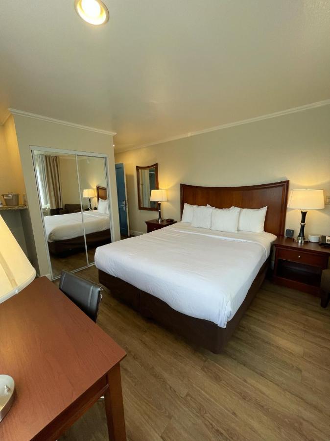 King Room - Non Smoking,1137375328:JPEG