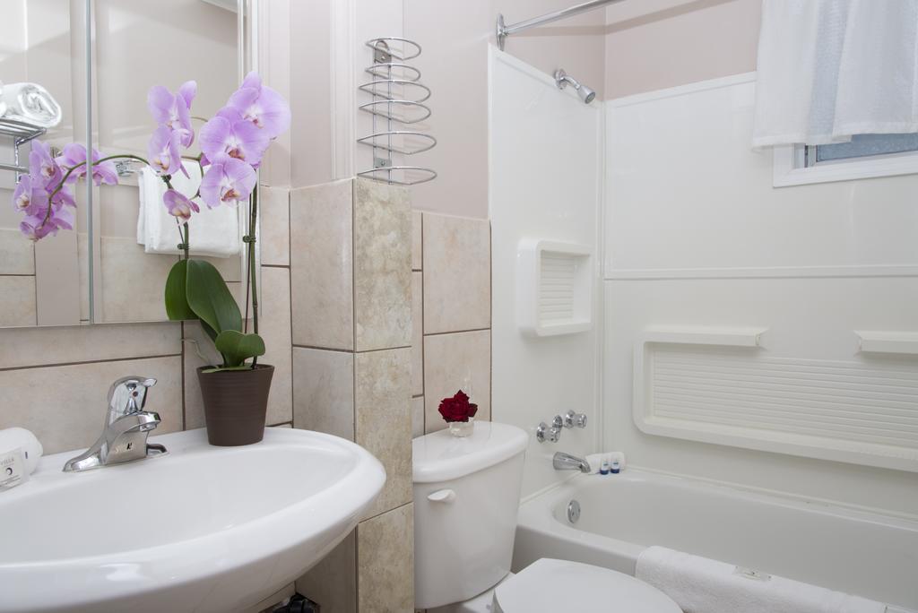 Queen Suite,699336324:JPEG