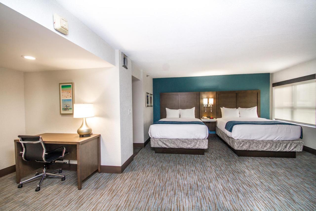 Suite con 2 camas grandes - No fumadores