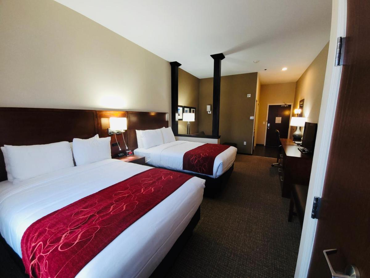 Double Suite with Two Double Beds - Non Smoking