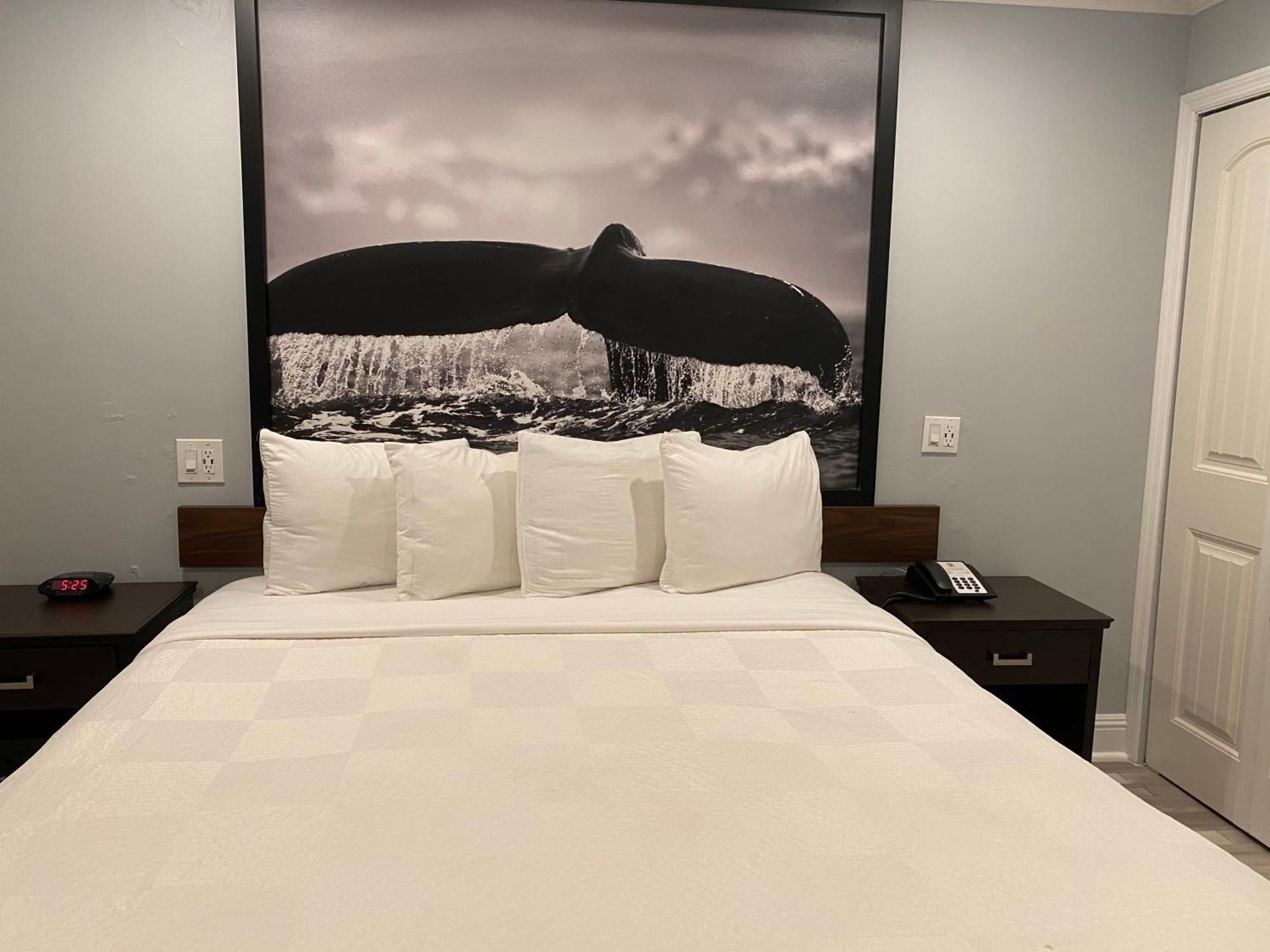 Zimmer mit Kingsize-Bett – Nichtraucher