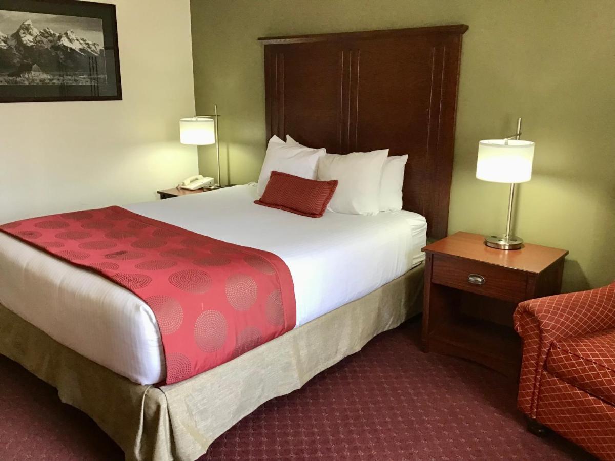 Queen Room One Queen Bed Non Smoking