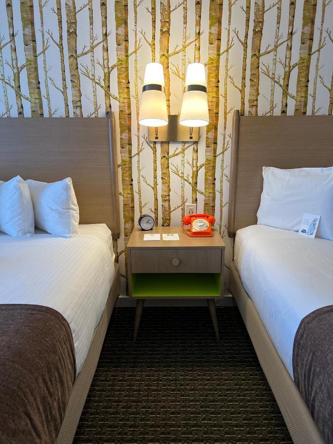 Chambre Double - Accessible aux Personnes à Mobilité Réduite