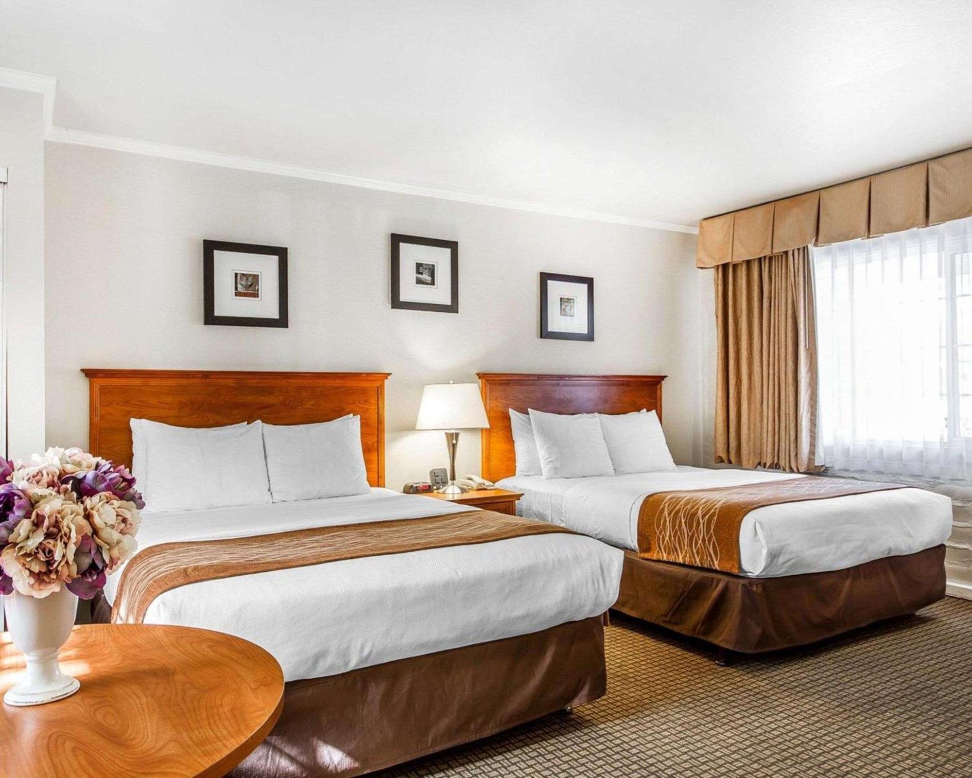 Standard Room Two Double Beds Non-Smoking