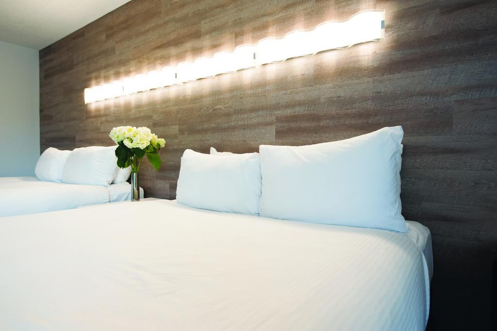 Standard Queen Room with Two Queen Beds,913804591:JPEG