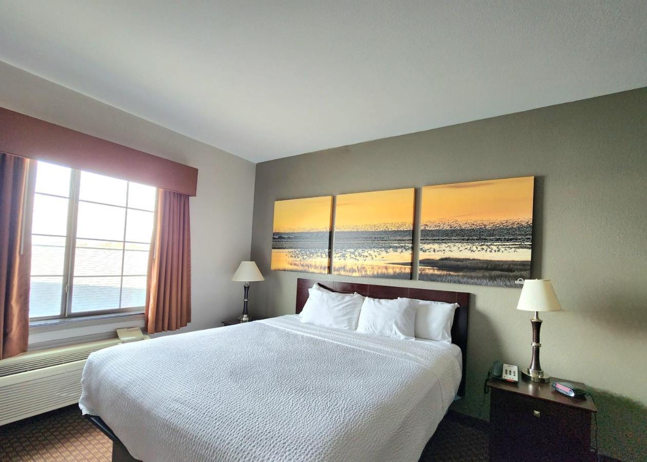 King Room Roll Shower Mobility or Hearing Accessible Non-Smoking,1498751335:JPEG