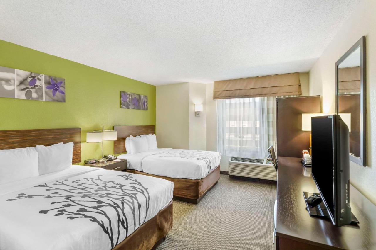 Double Room with Two Double Beds - Non-Smoking