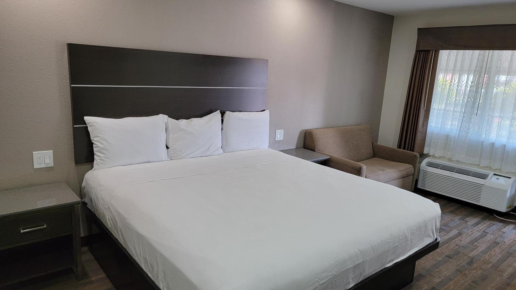 Chambre Lit King-Size avec Douche Accessible en Fauteuil Roulant - Adaptée aux Personnes à Mobilité Réduite/Non-Fumeurs