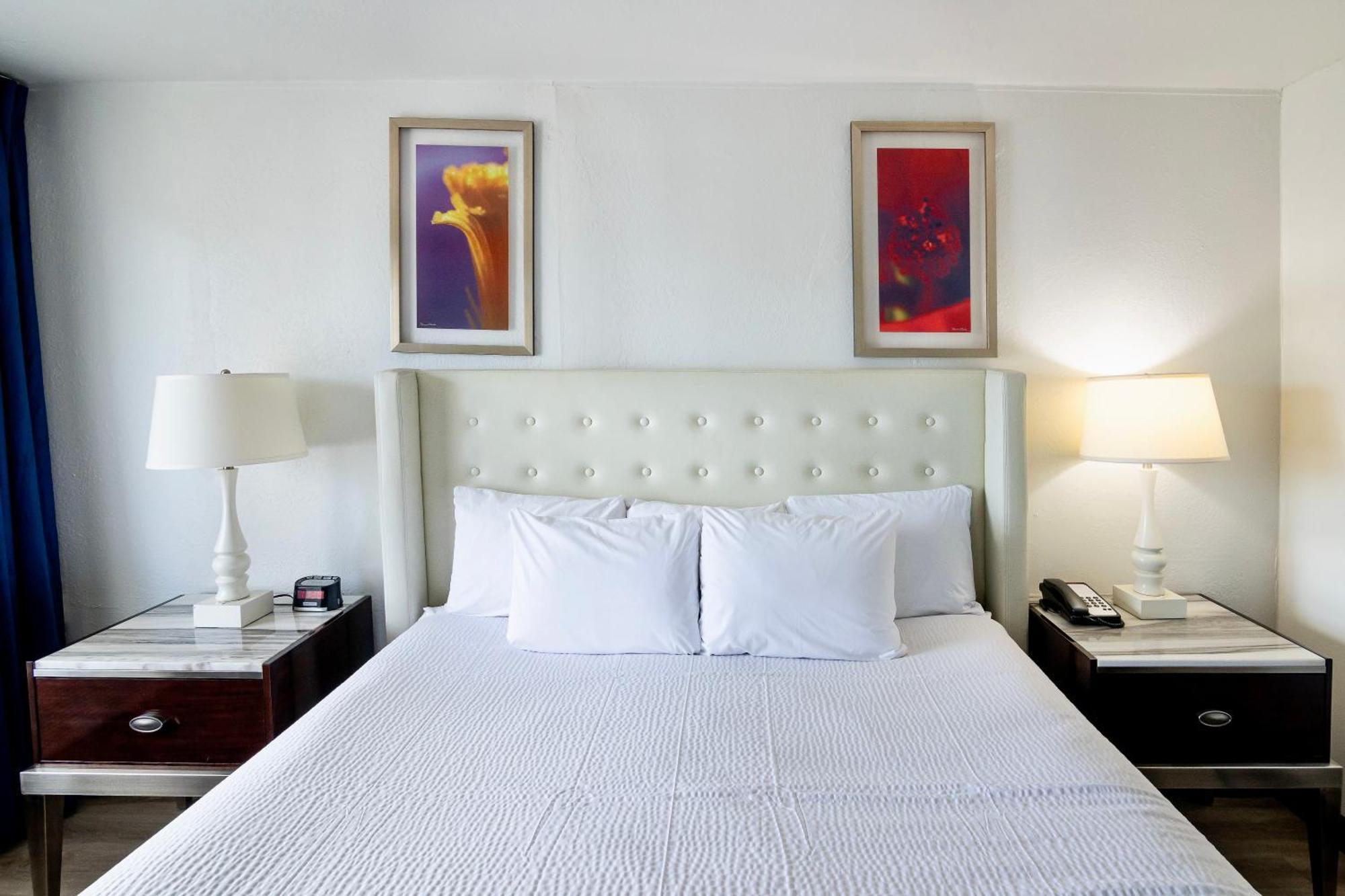 Chambre Lit King-Size - Accessible aux Personnes à Mobilité Réduite - Non-Fumeurs