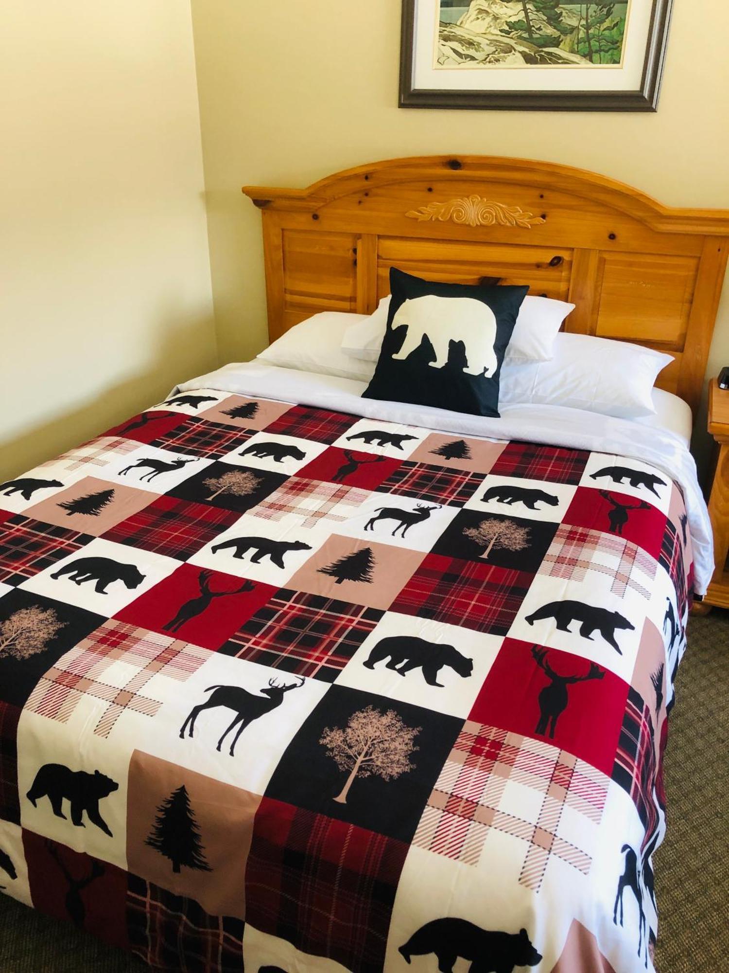 Room with One Queen Bed