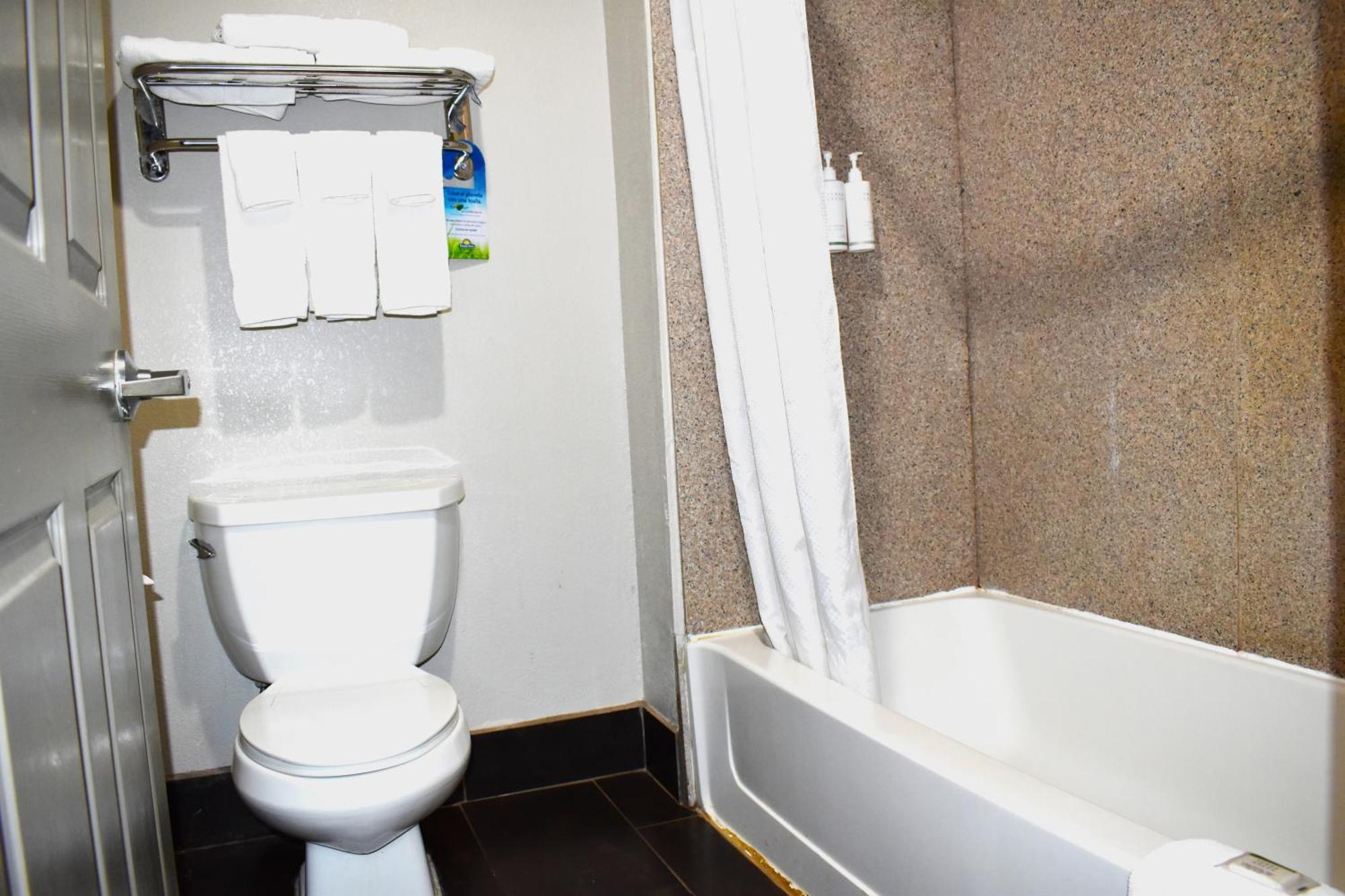 Studio Suite - Non-Smoking,1622044056:JPEG