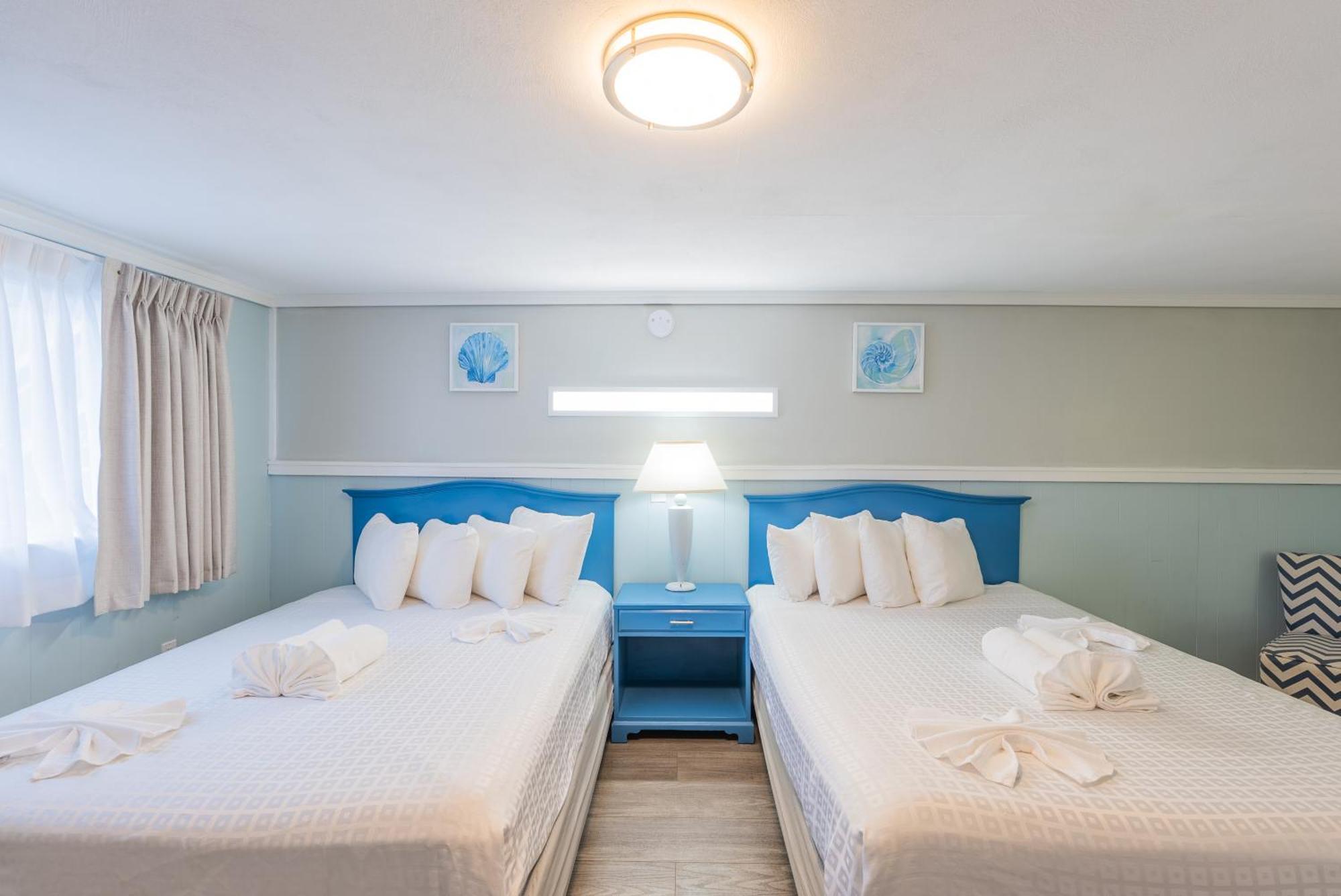 Pet Friendly Standard 2 Queens