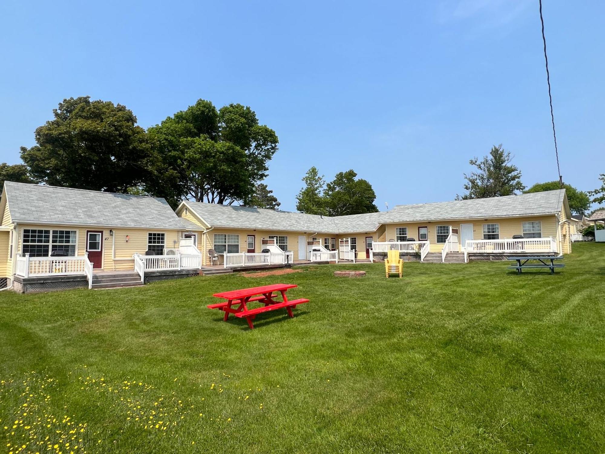 Double Room with Patio