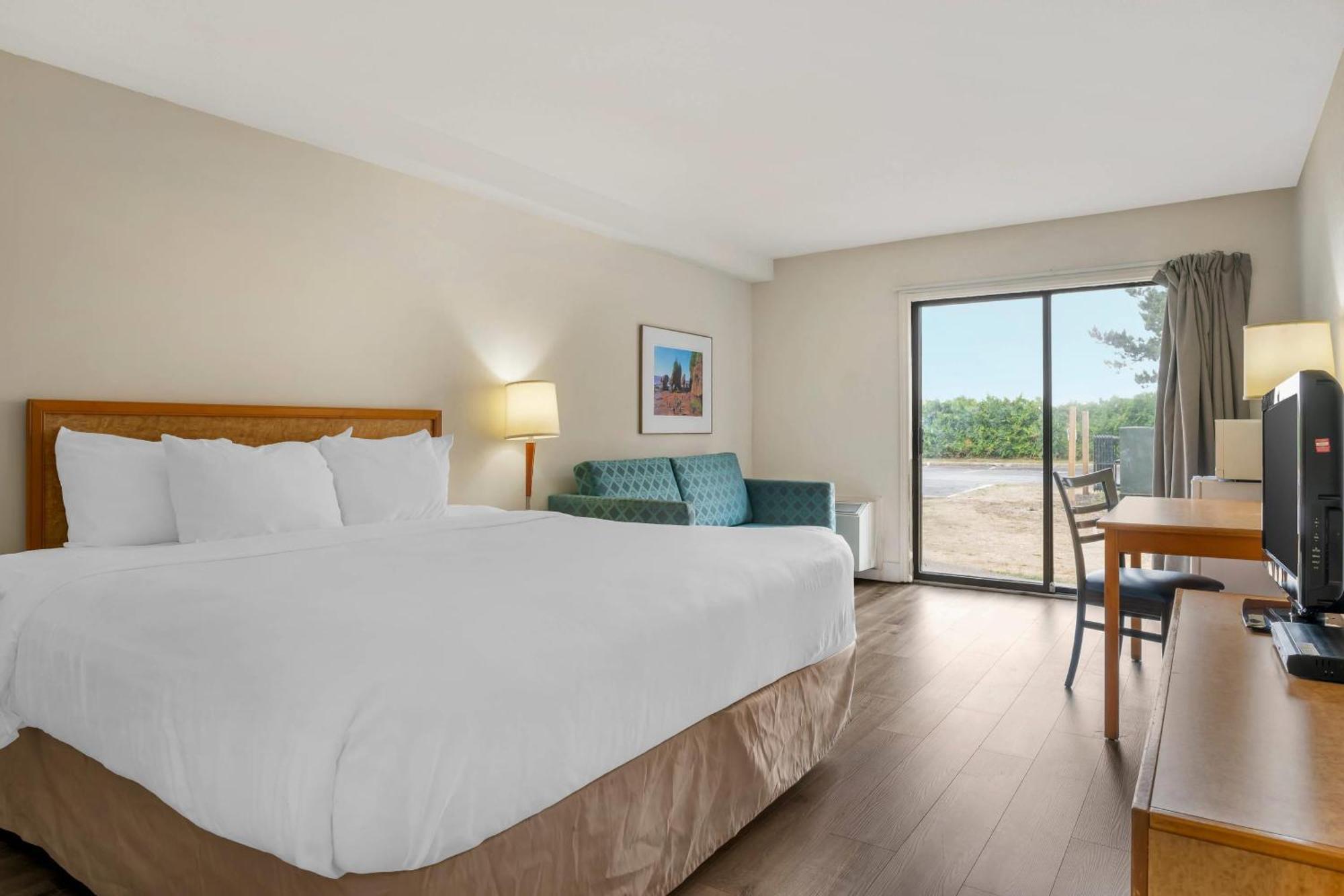 King Room - Non-Smoking,1717023743:JPEG