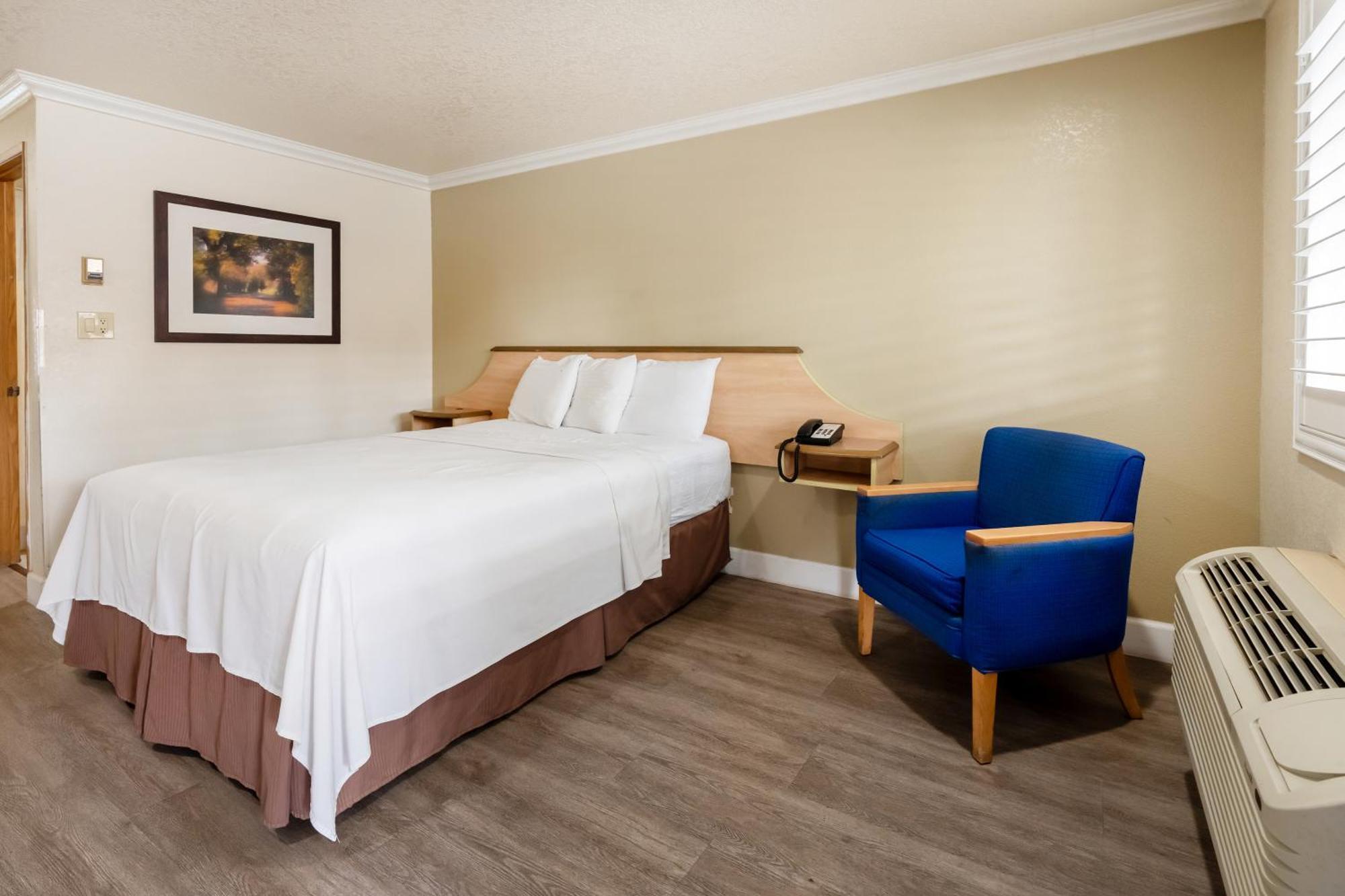 Queen Bed,1731404454:JPEG