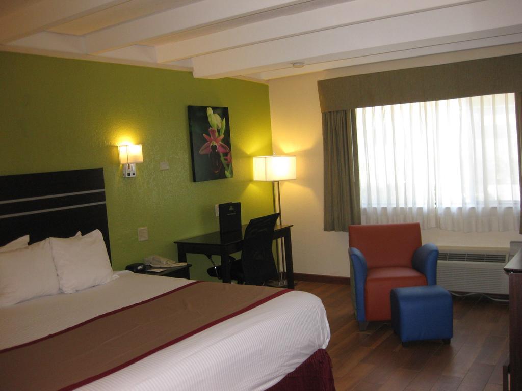 Quarto com Cama King-size - Não Fumantes