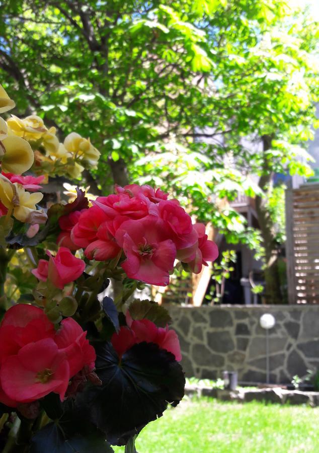 Double Room Garden View
