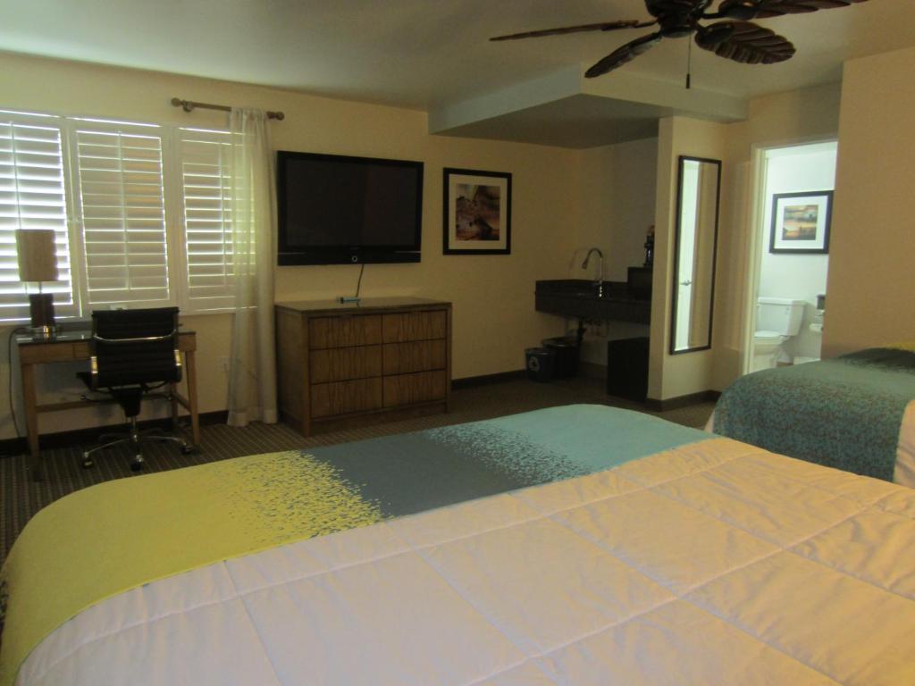 Premier Double Room with Two Double Beds,74788481:JPEG