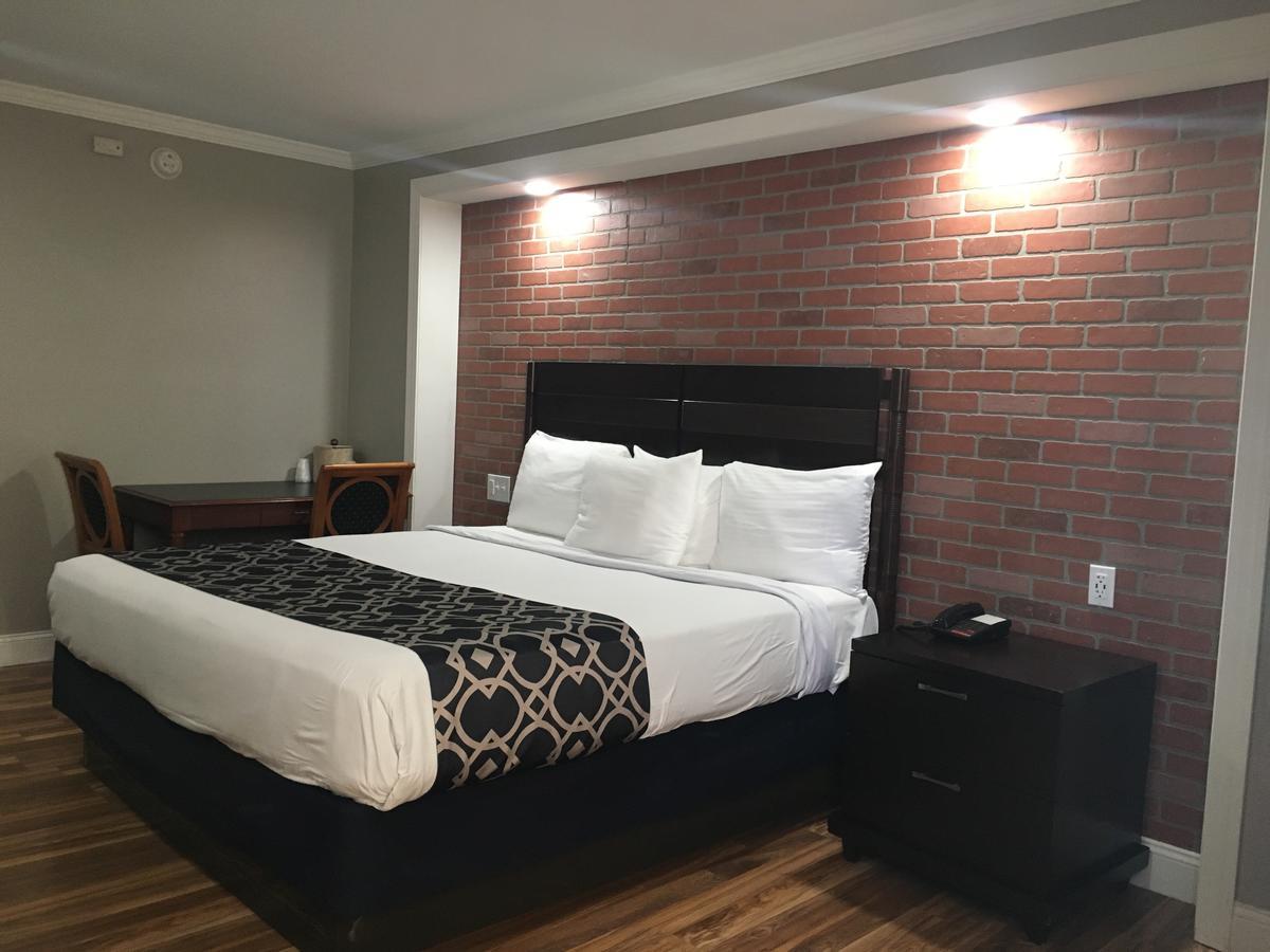 King Room,666326175:JPEG