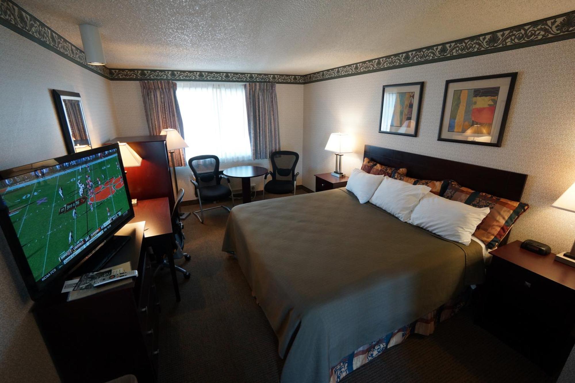 King Room-No Pet,115278242:JPEG