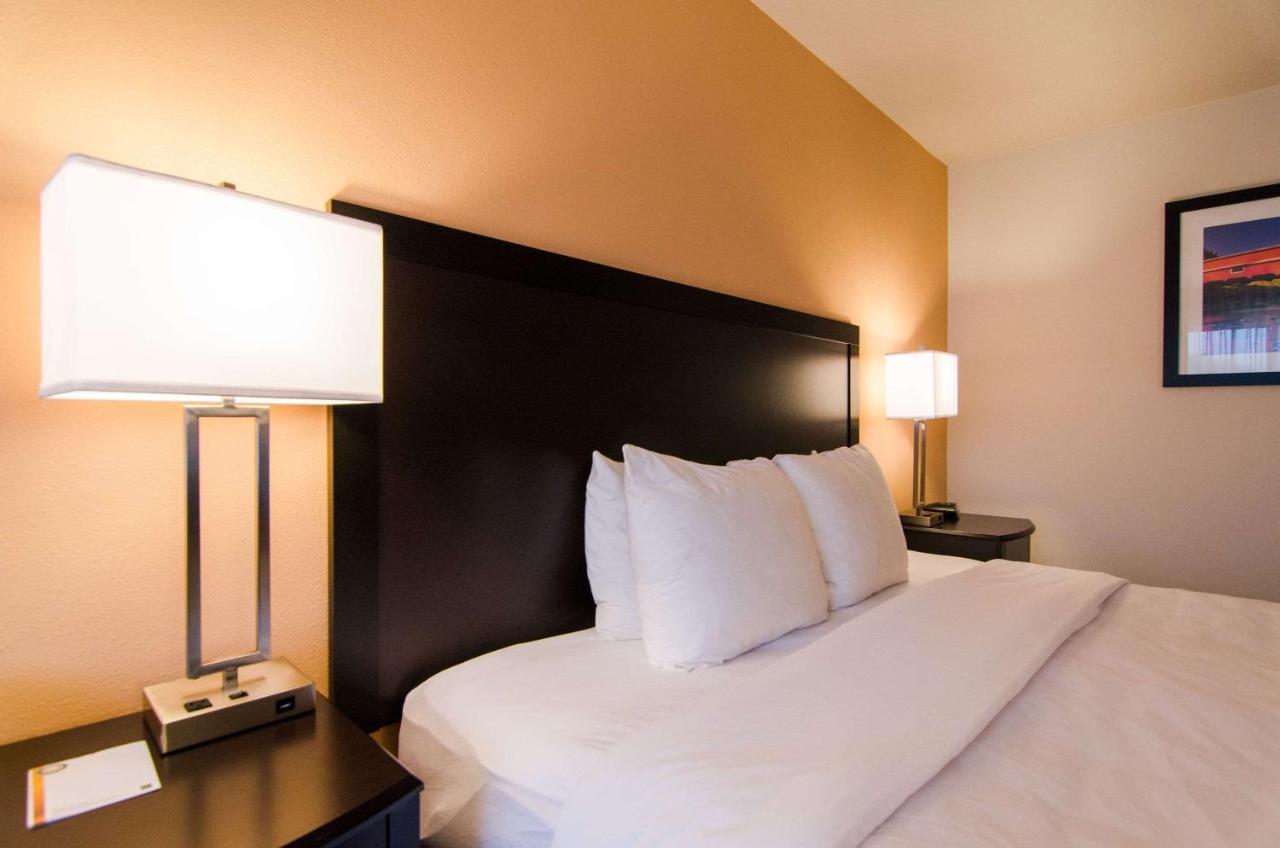 King Room (Cottage),768664909:JPEG