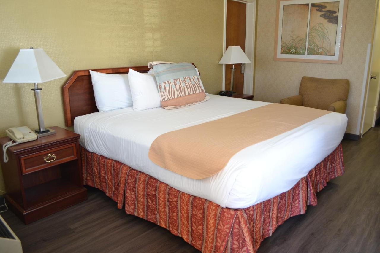 Zimmer mit Kingsize-Bett – Nichtraucher
