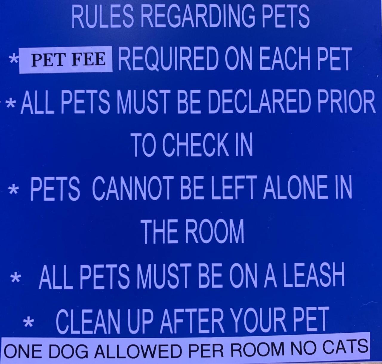 Queen Room with Two Queen Beds - Non-Smoking,1014849574:JPEG