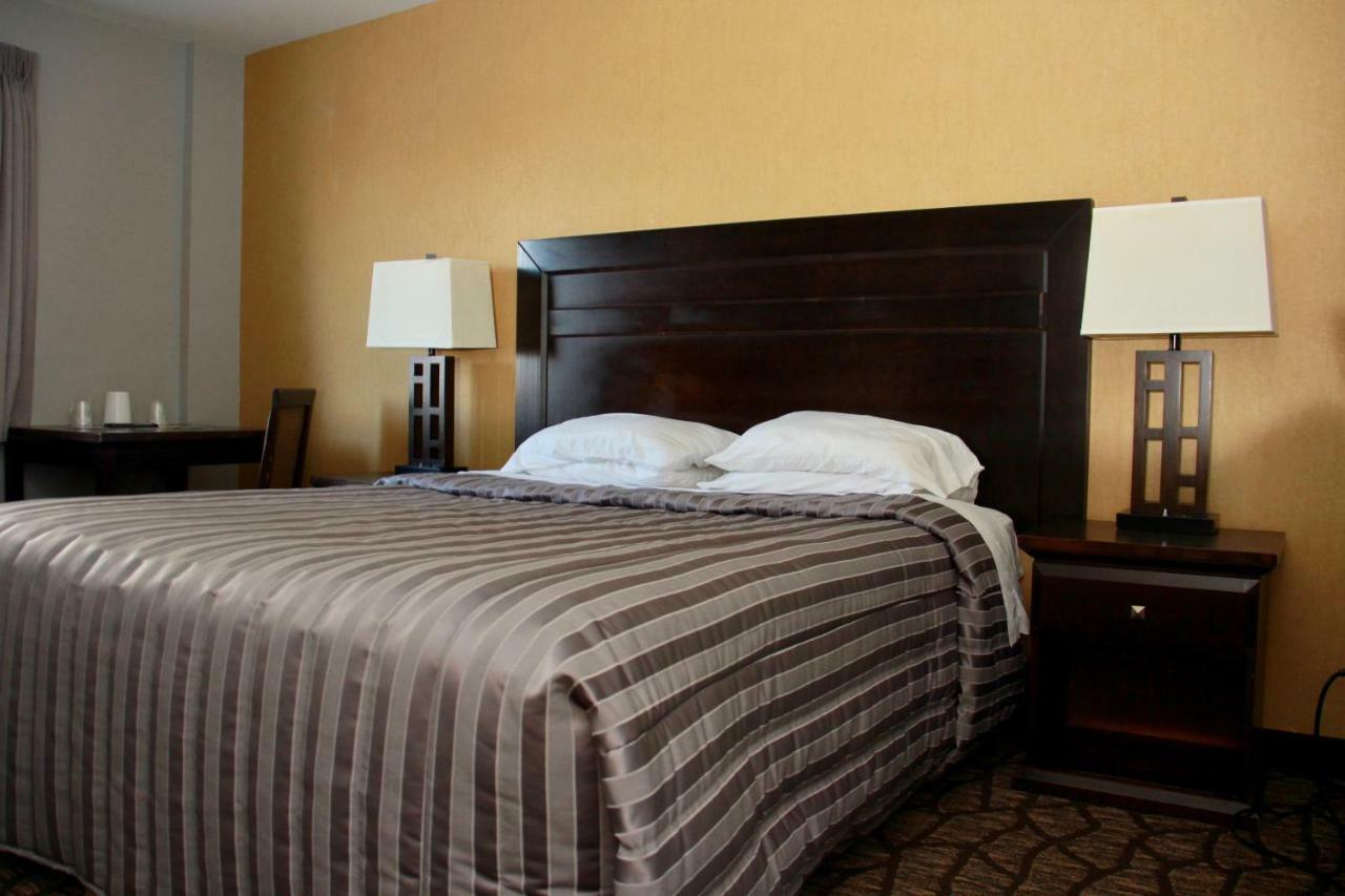 Deluxe Suite met Kingsize Bed