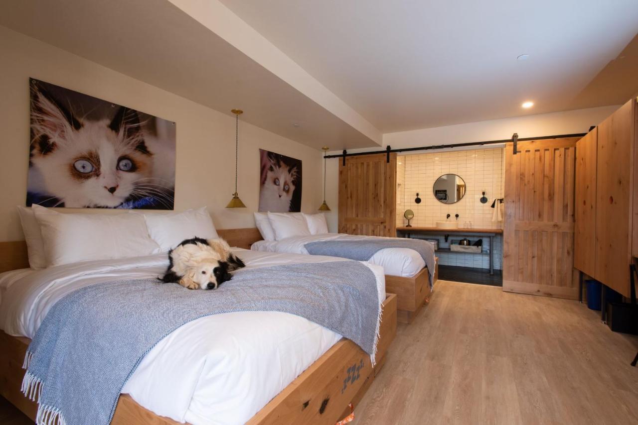 Chambre Double Standard
