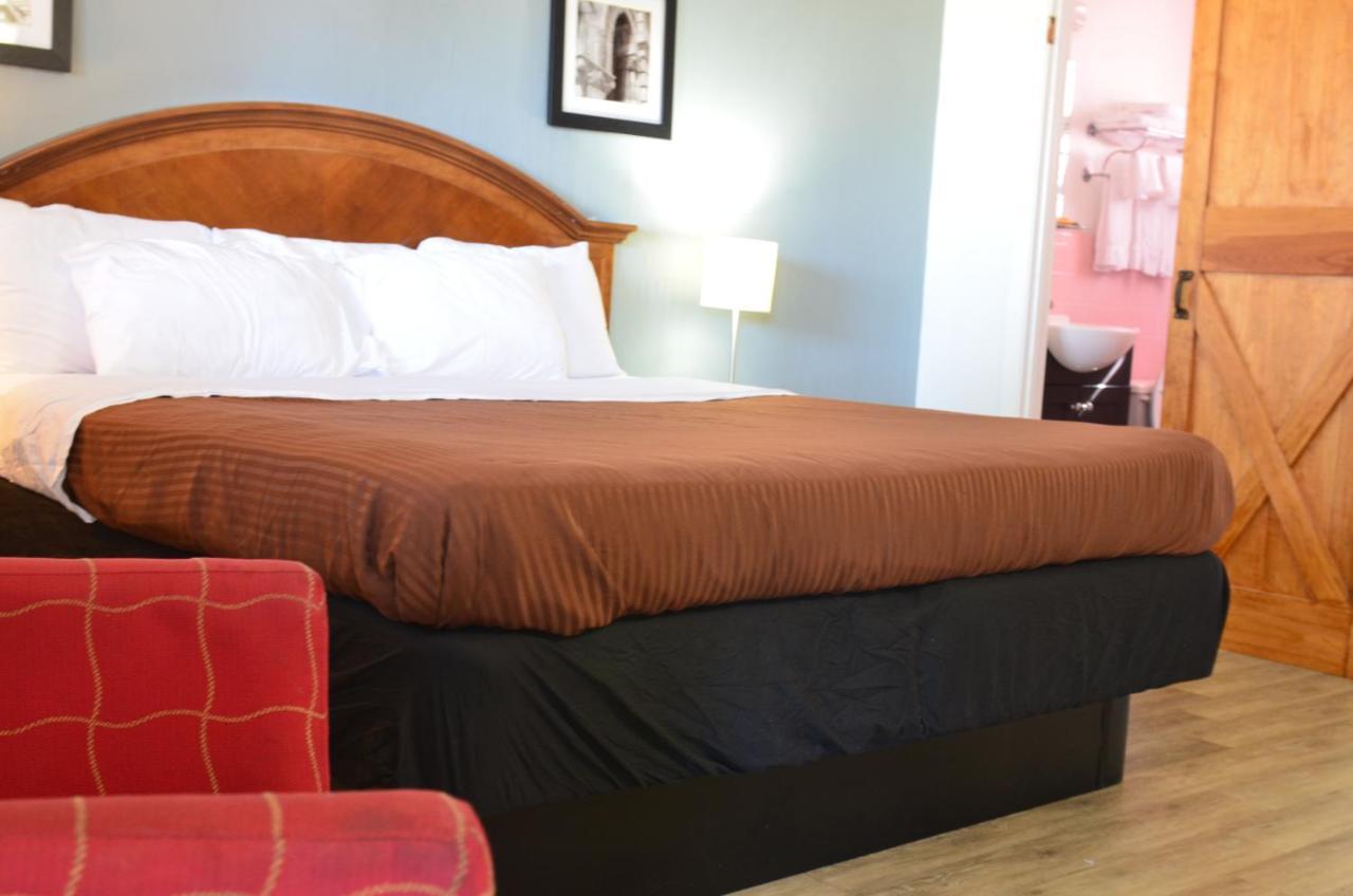 King Room,596444277:JPEG