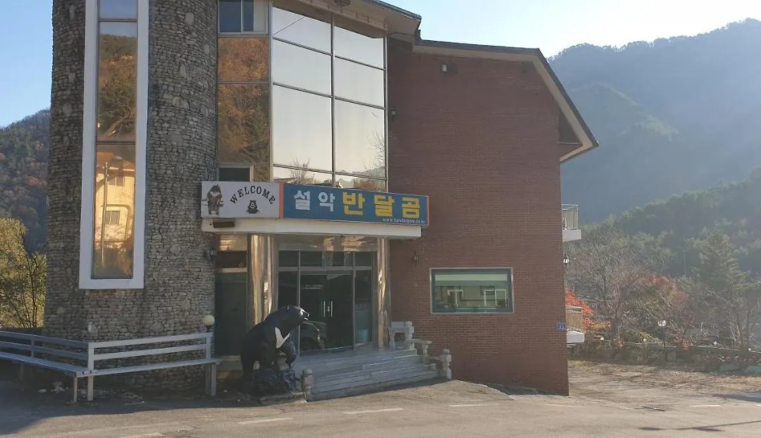 Bandal Book & Stay-1
