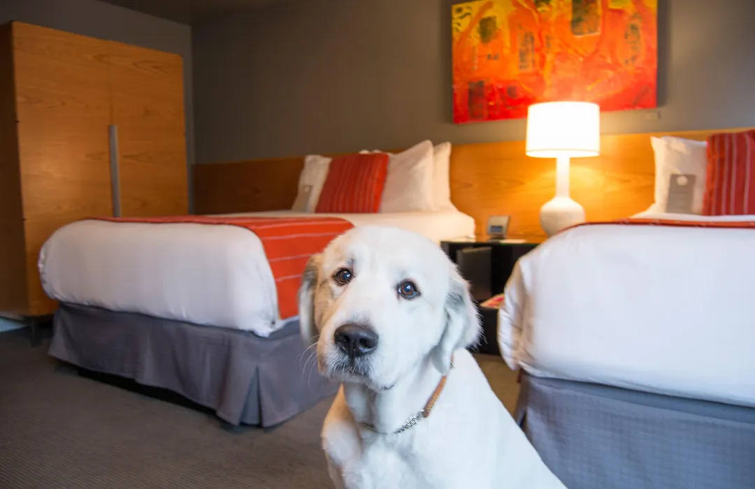 Hotel Max-1