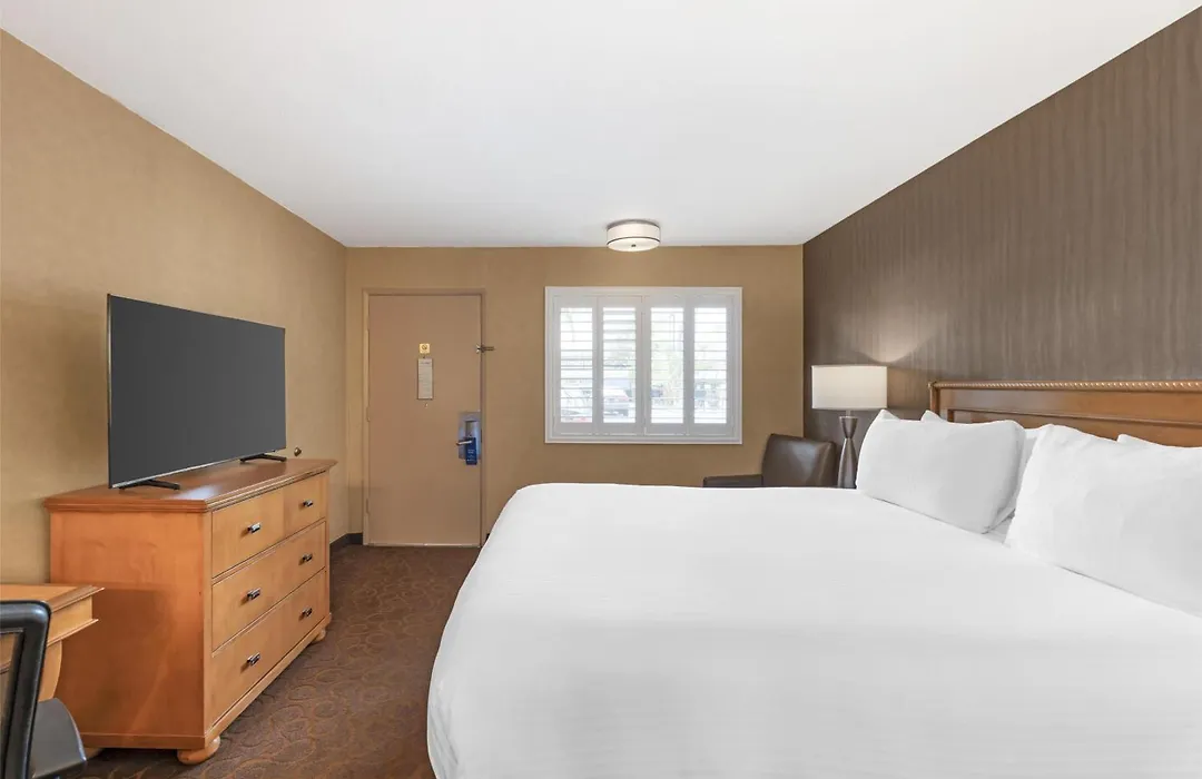 Best Western Plus Pavilions-1