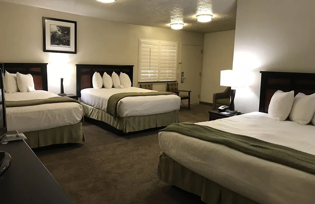 Dinosaur Inn & Suites-1