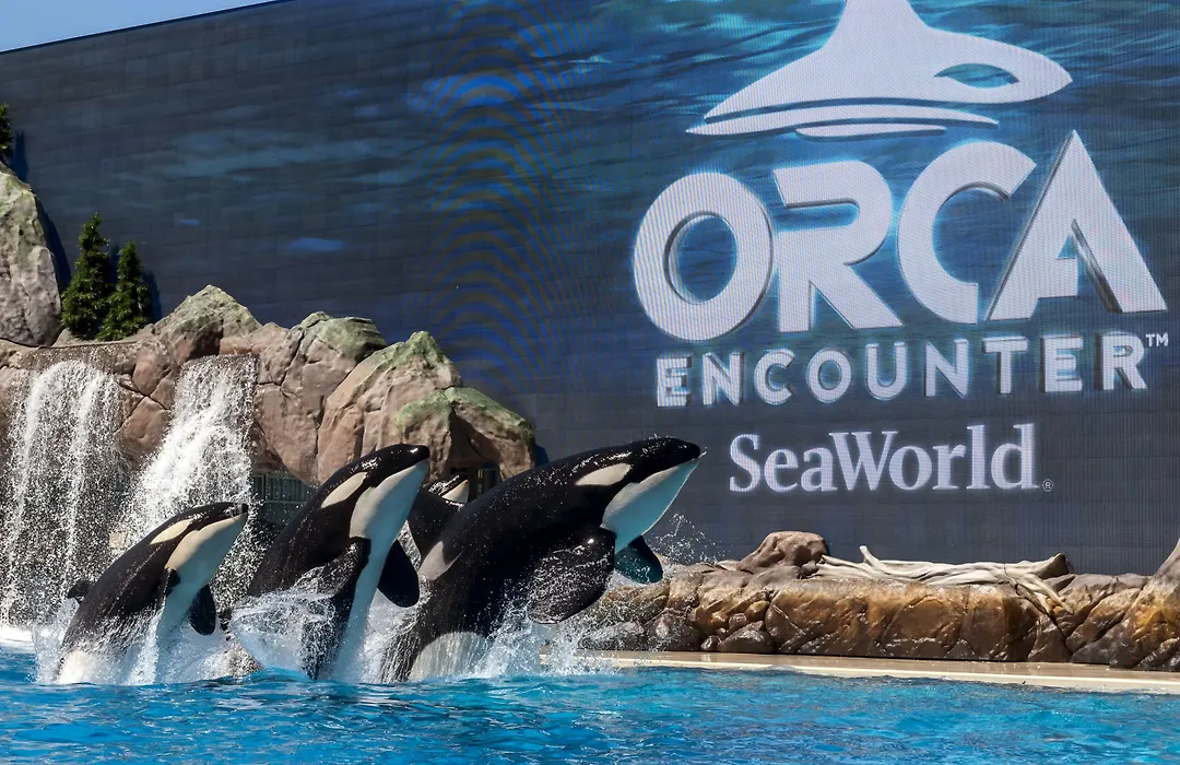 Travelodge By Wyndham San Diego Seaworld-1