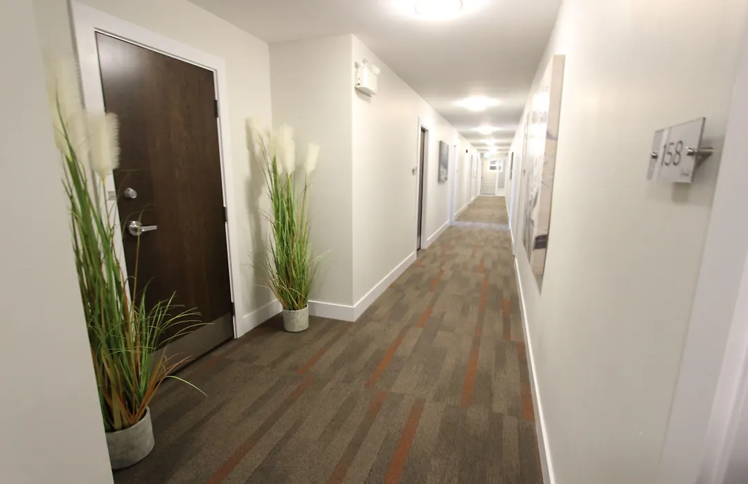 Stardust Motel - Bedford-1