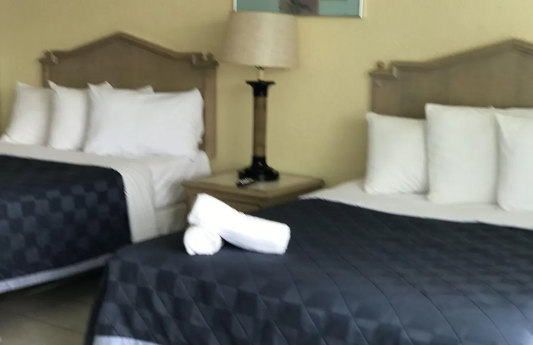 Bird Of Paradise Motel-1