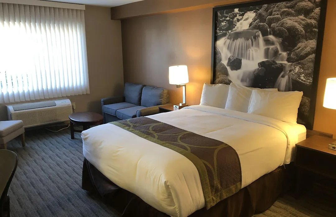 Super 8 By Wyndham Lynnwood-1
