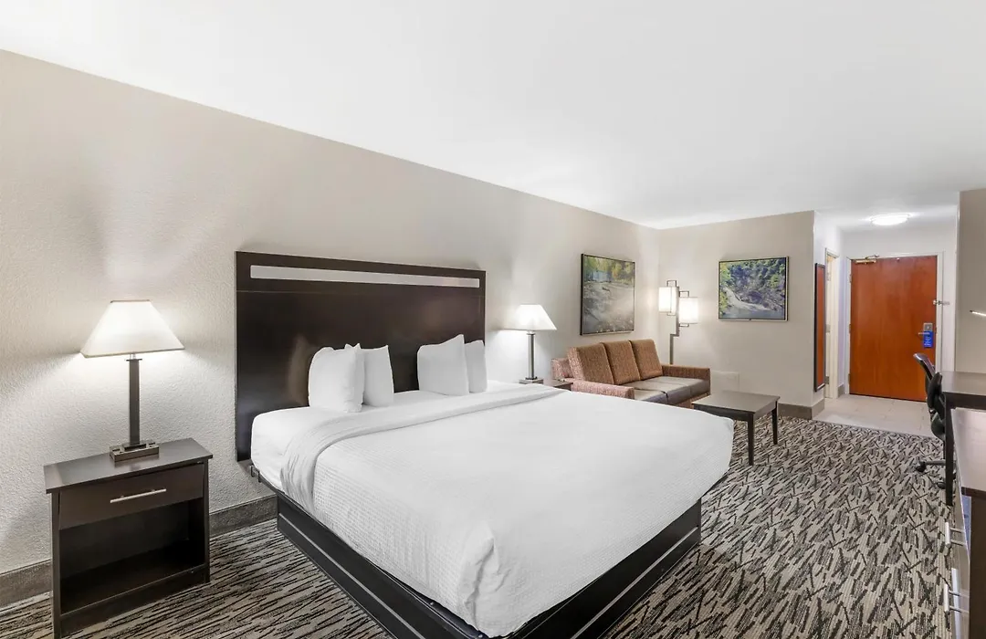 Best Western Plus Mcdonough Inn & Suites-1