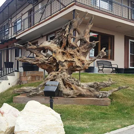 Bristlecone Motel-3