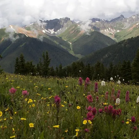 Ouray Chalet Inn-2