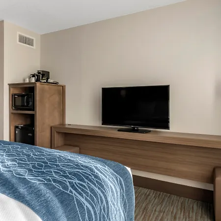 Comfort Inn & Suites Downtown Brickell-Port Of Miami-3