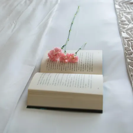 The Alcove Library Hotel-2