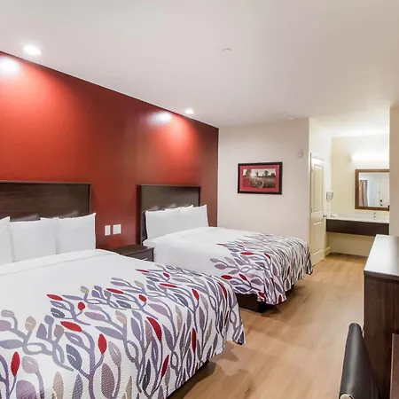 Red Roof Inn Houston - Willowbrook-3