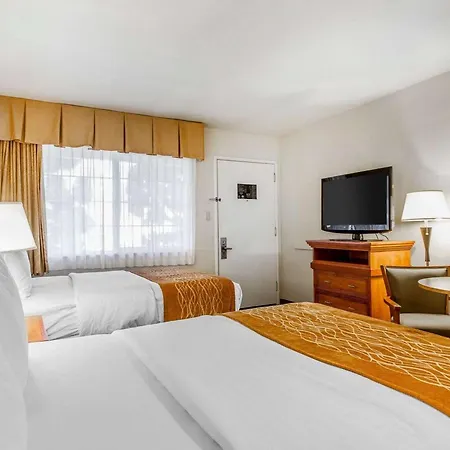 The Inn At 1252 Monterey-3