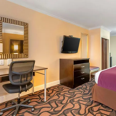 Best Western Plus Airport Plaza-3
